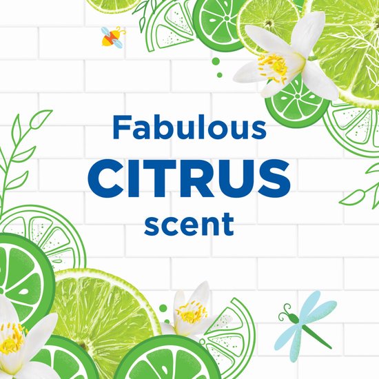 WC Eend Toiletblok Active Clean Citrus 38 gr